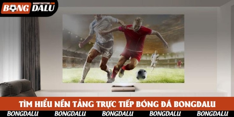 Tìm hiểu nền tảng trực tiếp bóng đá Bongdalu