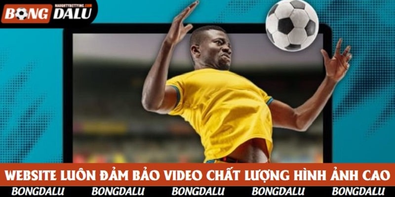 Website luôn đảm bảo video chất lượng hình ảnh cao