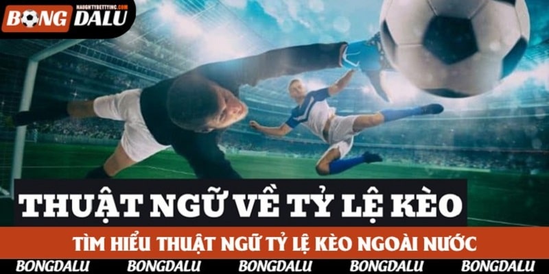 Tìm hiểu thuật ngữ tỷ lệ kèo ngoài nước