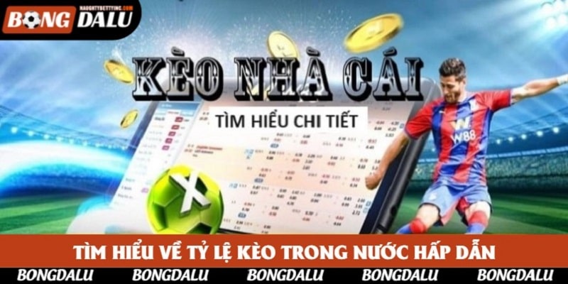Tìm hiểu về tỷ lệ kèo trong nước hấp dẫn