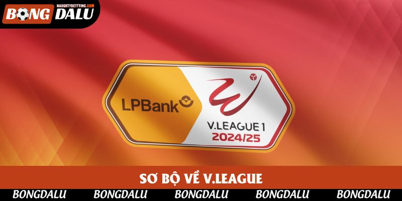 Sơ bộ về V.League