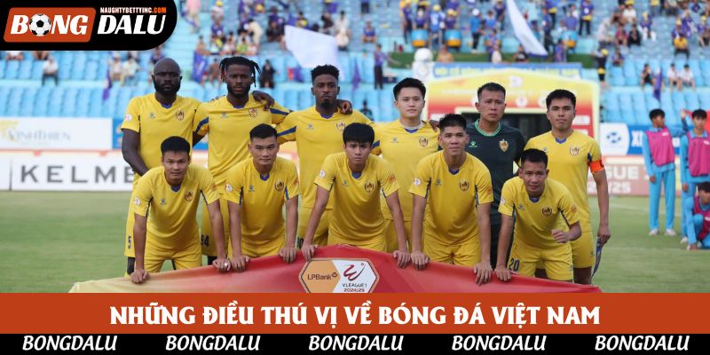 Những điều thú vị về bóng đá Việt Nam